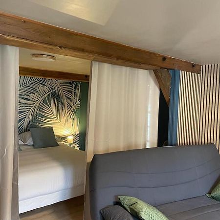 La Palme Bleue - 5 Mn Du Zooparc De Beauval Apartment แซ็ง-เตญ็อง ภายนอก รูปภาพ