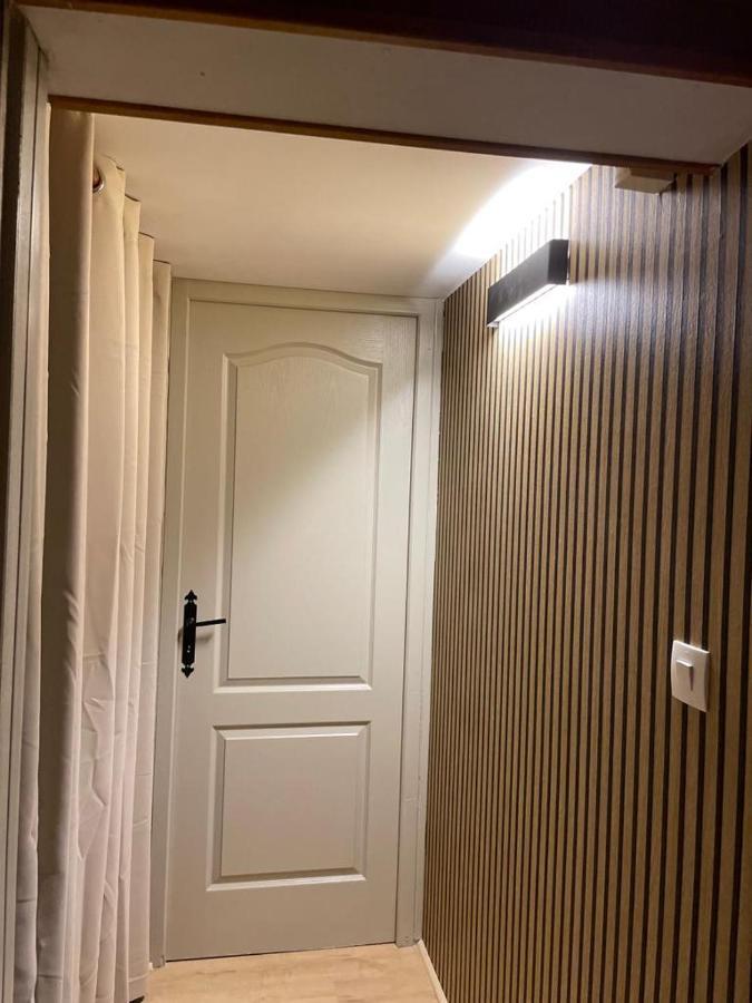 La Palme Bleue - 5 Mn Du Zooparc De Beauval Apartment แซ็ง-เตญ็อง ภายนอก รูปภาพ