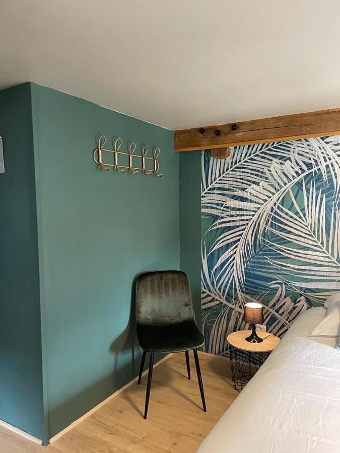 La Palme Bleue - 5 Mn Du Zooparc De Beauval Apartment แซ็ง-เตญ็อง ภายนอก รูปภาพ