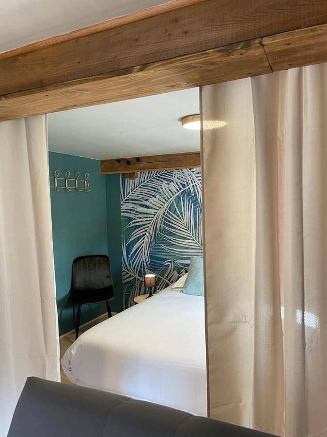La Palme Bleue - 5 Mn Du Zooparc De Beauval Apartment แซ็ง-เตญ็อง ภายนอก รูปภาพ