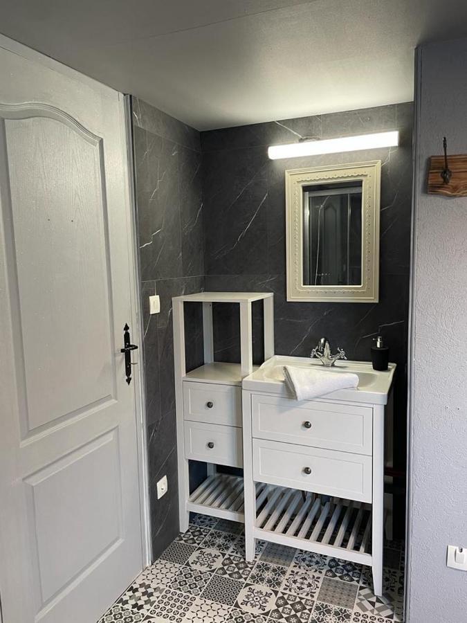 La Palme Bleue - 5 Mn Du Zooparc De Beauval Apartment แซ็ง-เตญ็อง ภายนอก รูปภาพ