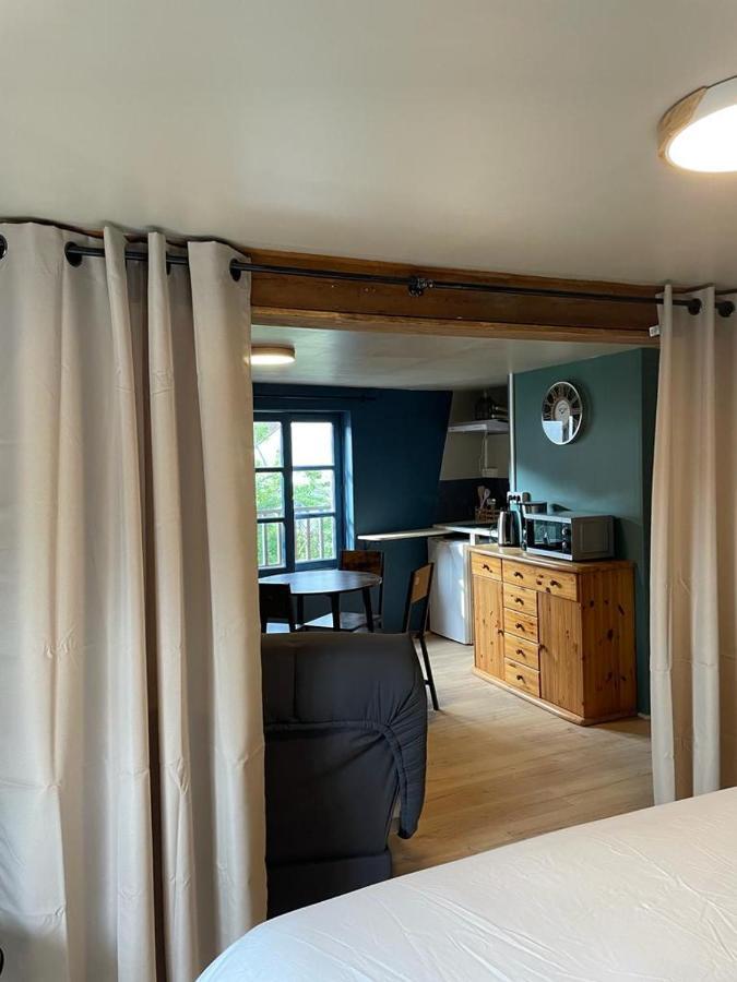 La Palme Bleue - 5 Mn Du Zooparc De Beauval Apartment แซ็ง-เตญ็อง ภายนอก รูปภาพ