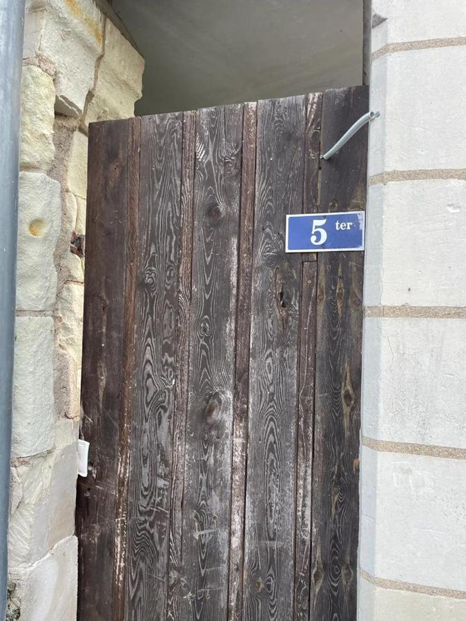 La Palme Bleue - 5 Mn Du Zooparc De Beauval Apartment แซ็ง-เตญ็อง ภายนอก รูปภาพ