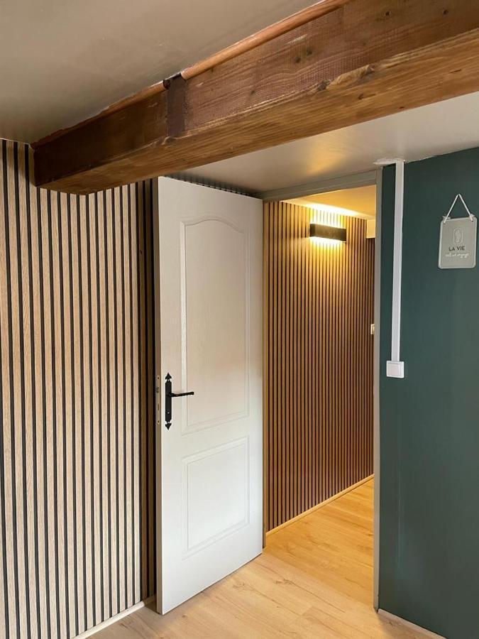 La Palme Bleue - 5 Mn Du Zooparc De Beauval Apartment แซ็ง-เตญ็อง ภายนอก รูปภาพ